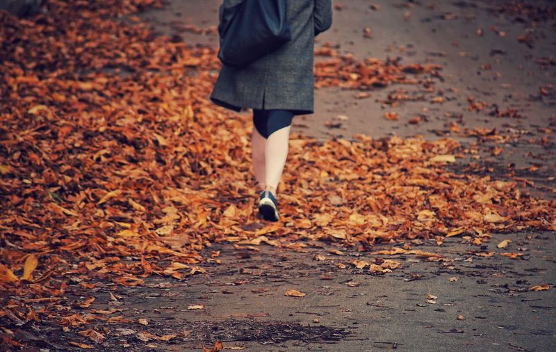 Low section of woman walking on autumn leaves