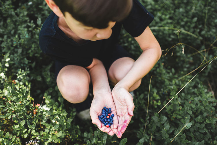 High angle view of baby hand holding berries on field
