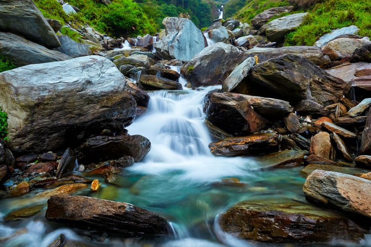 Scenic view of waterfall in forest