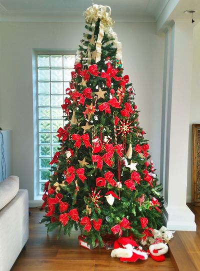 Decorated christmas trees