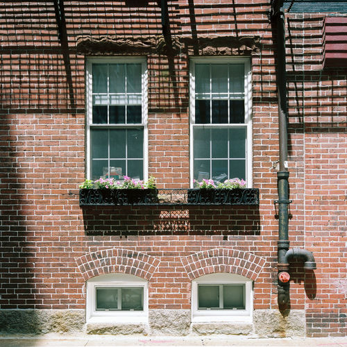 Windows of brick building