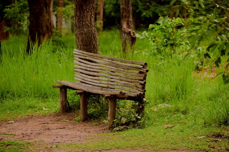 Empty bamboo bench in park