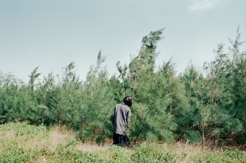 Rear view of woman standing in front of a forest