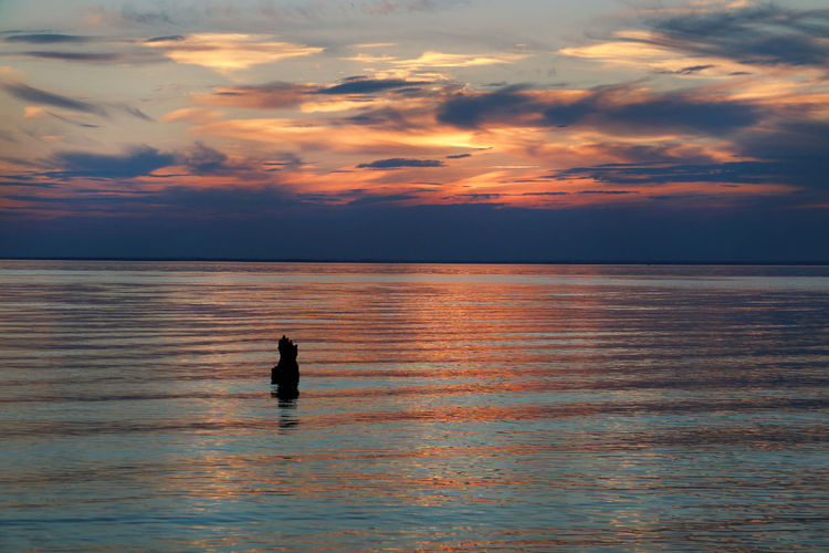 Silhouette person on sea against sky during sunset