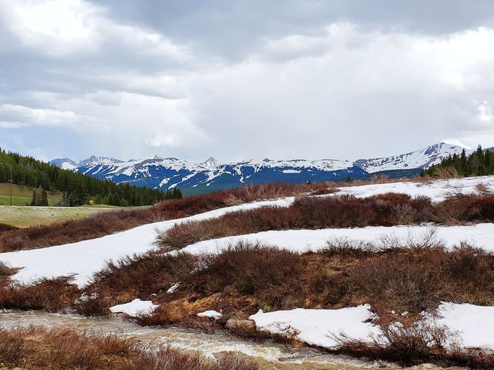 Summer snow