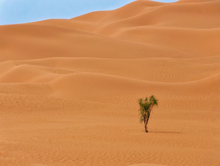 North africa desert 