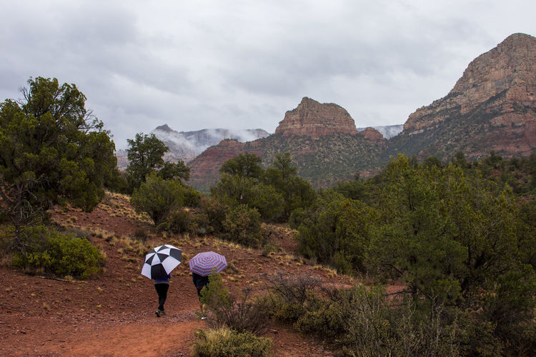 People with umbrellas walking on landscape against mountains