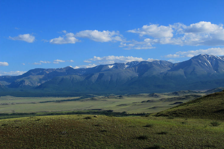 Kuraiskaya steppe with a view of the severo-chuisky mountain range, the sky with clouds in summer 