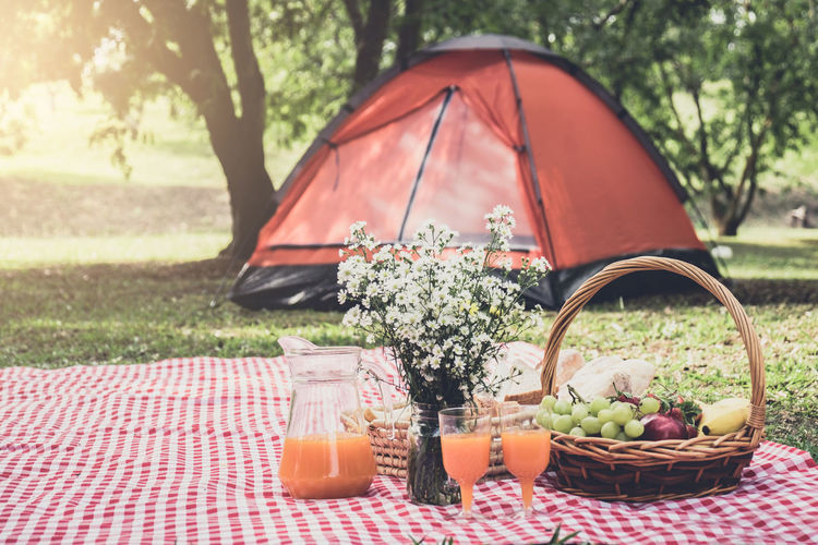 Fruits in wicker basket with juice on picnic blanket at park