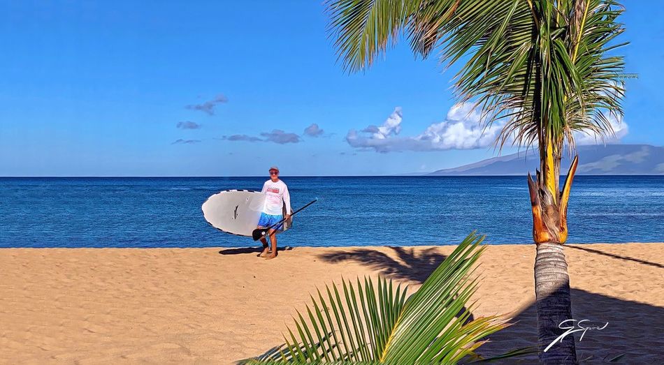 Rear view of man on beach against sky