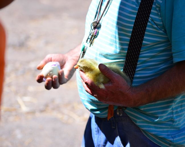 Midsection of man holding duckling and egg
