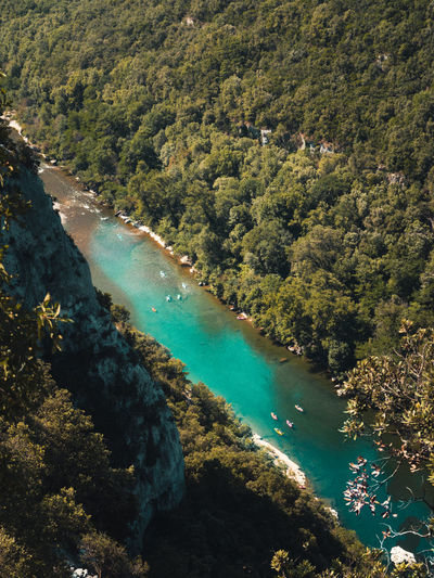 High angle view of river amidst trees in forest