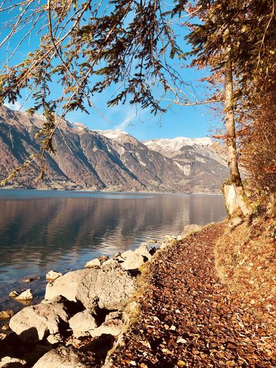 Scenic view of lake by mountains in autumn