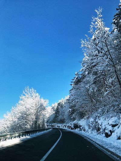Road amidst snow covered trees against blue sky