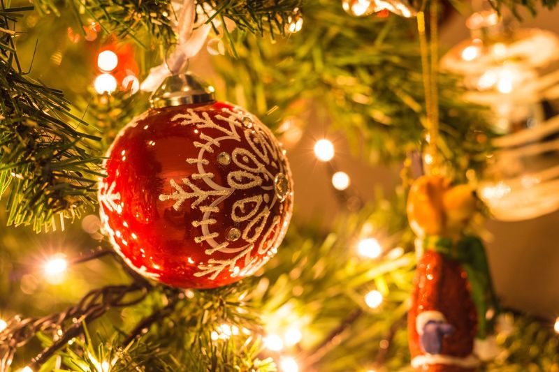 Close-up of christmas lights hanging on tree