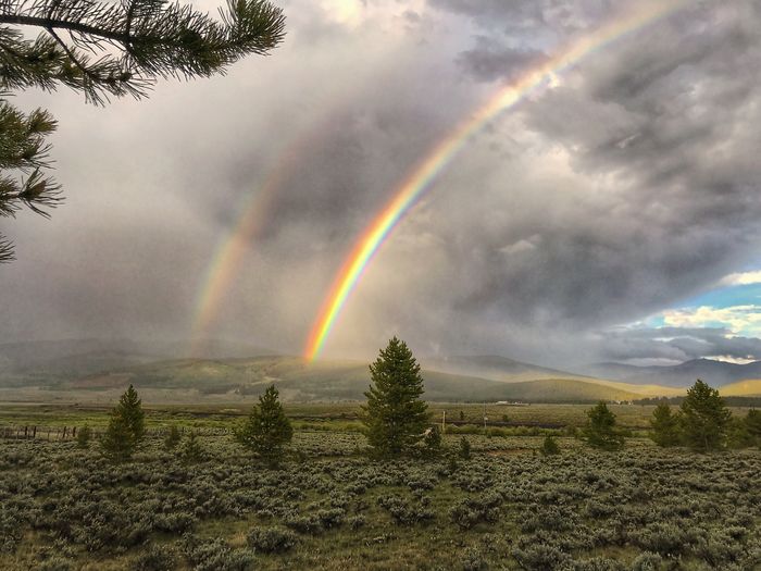 rainbow