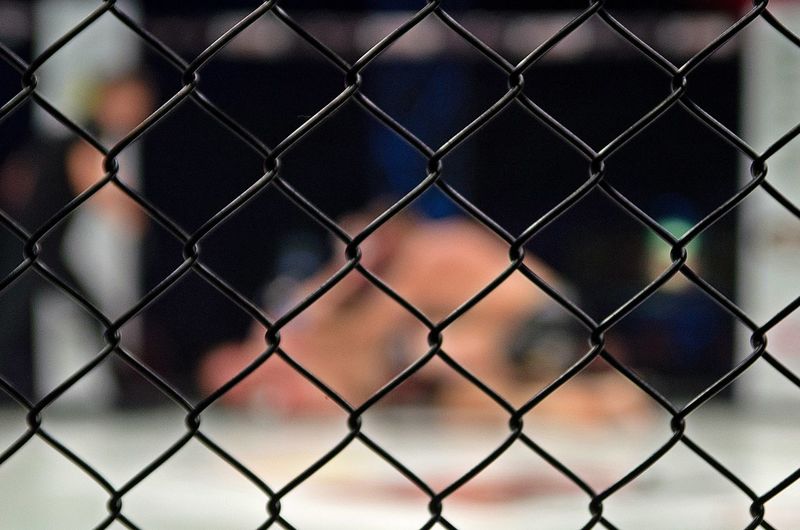 Mma cage, fight in a cage, octagon, octagon fight