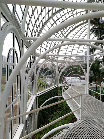 Metal structure in greenhouse