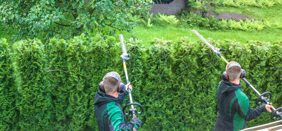 Rear view of men with hedge clippers in garden