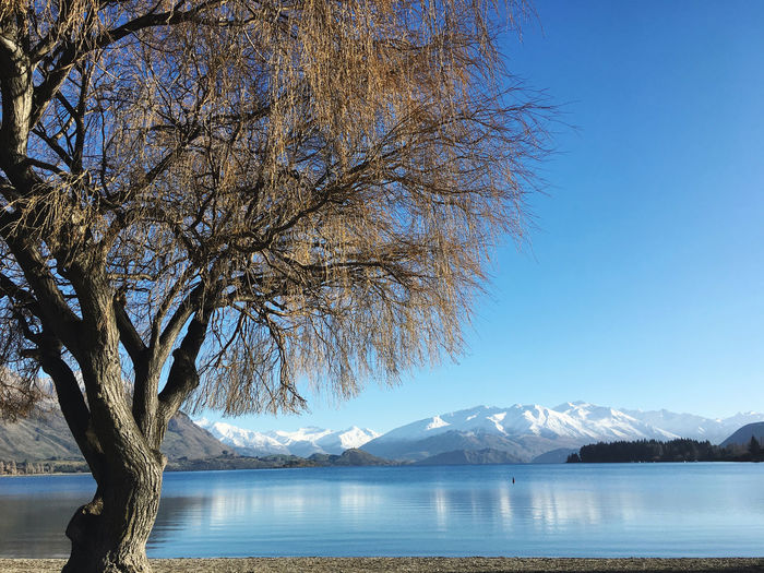 Scenic view of lake by snowcapped mountains against clear sky