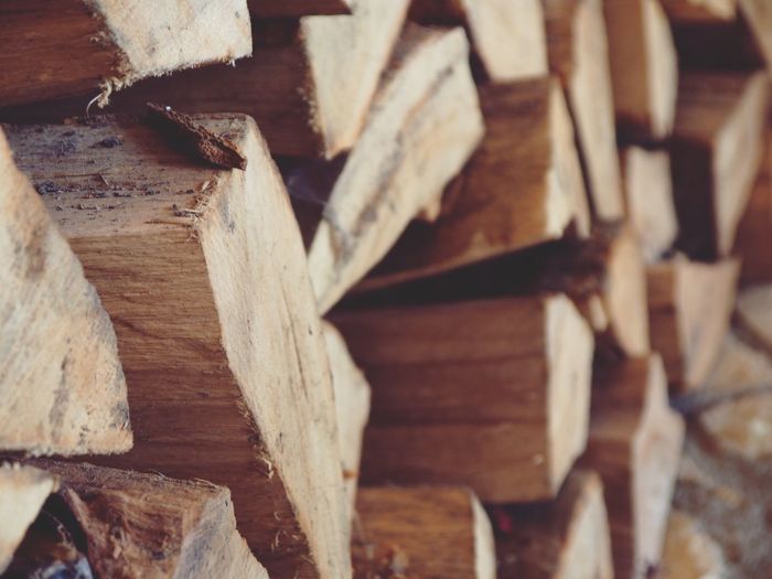 Close-up of wooden logs in forest