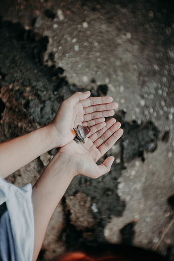 Cropped hands of person holding broken glass