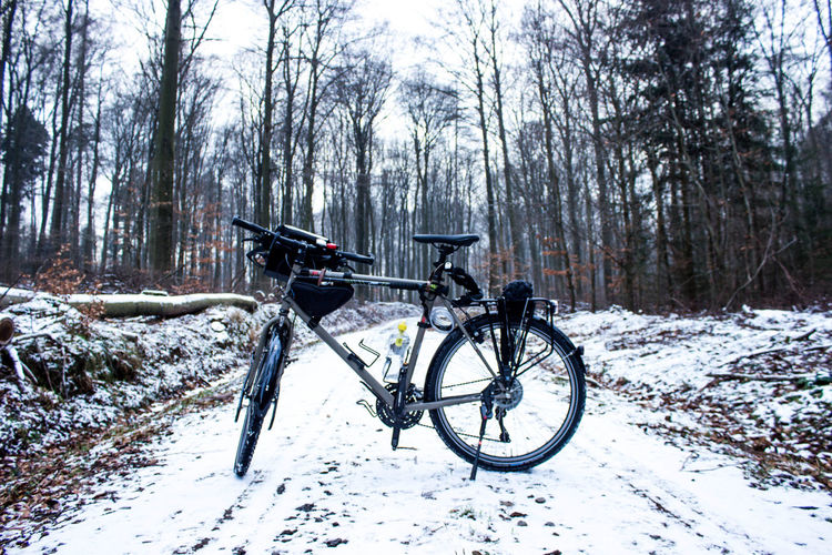 Bicycle on snow covered bare trees in forest