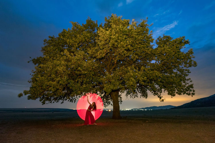 Tree with umbrella on field against sky