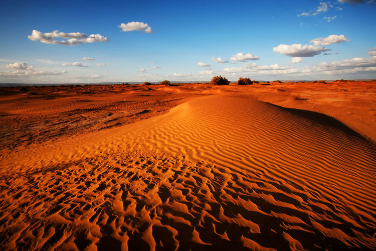 Scenic view of desert against sky