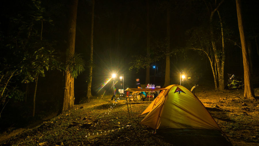 Man camping in forest at night
