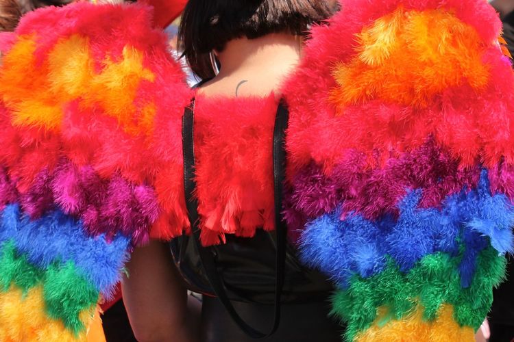 Rear view of woman wearing colorful angel wings during gay pride parade