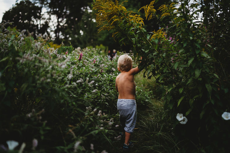 Back view of boy walking on hiking trail among green plants in summer