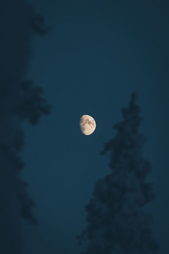 Low angle view of moon against sky