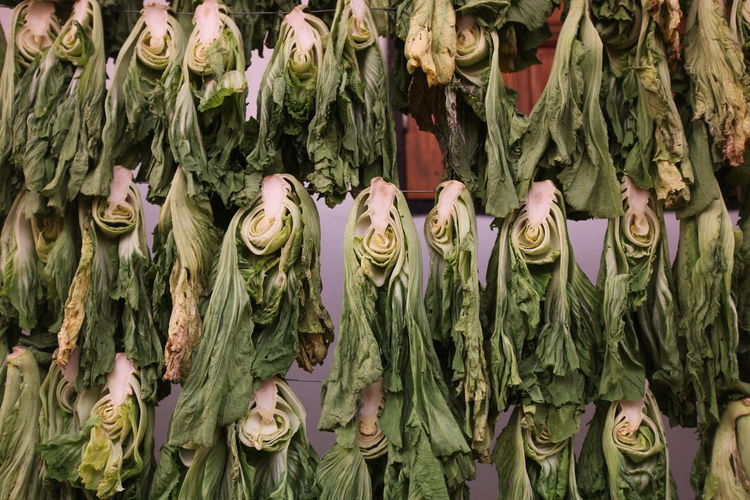 Bok choys hanging on string for sale at market