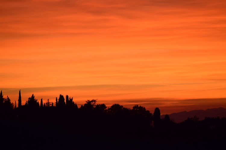 Scenic view of silhouette trees against orange sky