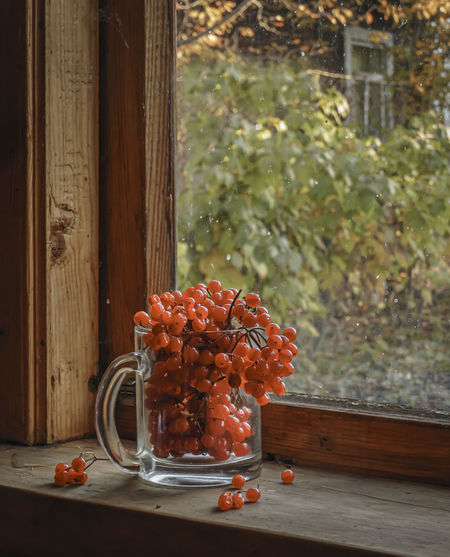 Glass mug with red viburnum berries on the window