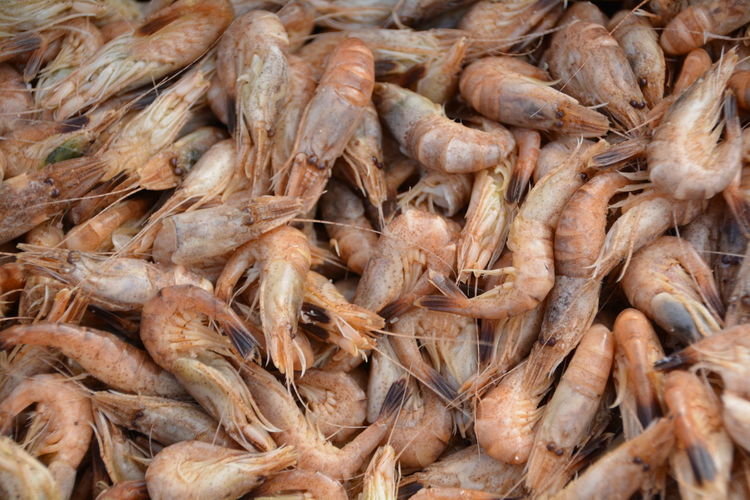 Full frame shot of prawns for sale at market