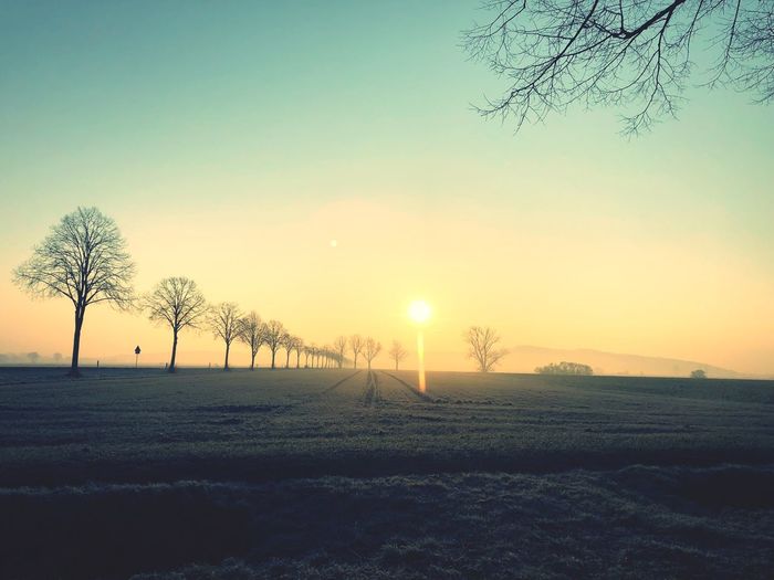 Scenic view of field against sky during sunset