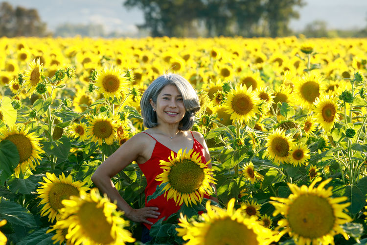 Woman in red dress standing in a field of sunflowers in summer bloom. dixon, solano county, ca