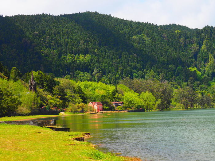 Scenic view of lake against trees in forest