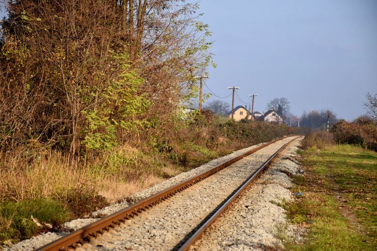 Railroad tracks by trees against clear sky