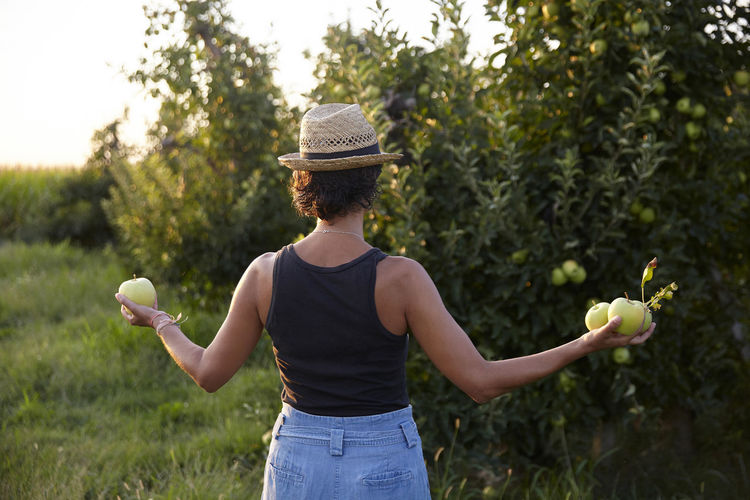 Back woman picking apples. we love organic and healthy food.