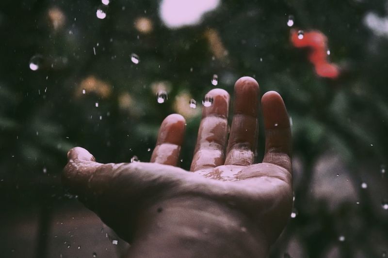 Close-up of wet hand in rain