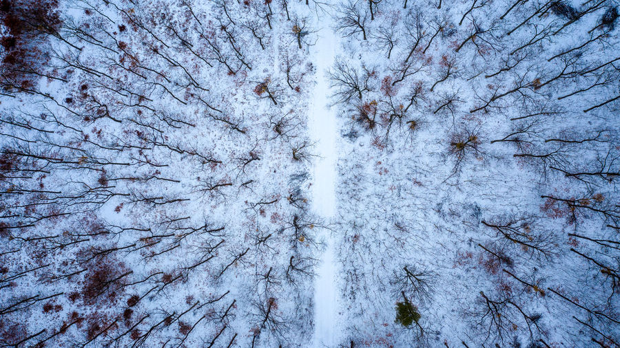 High angle view of road amidst trees during winter