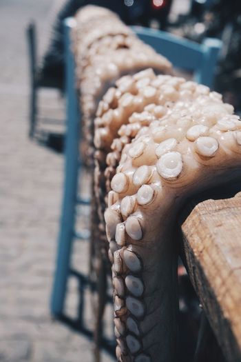 Close-up view of octopus tentacles hanging from railing