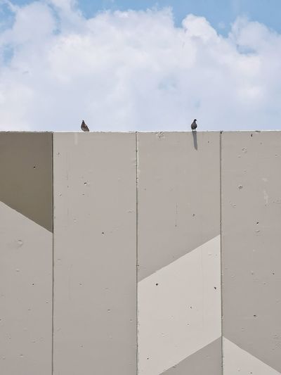 Low angle view of birds perching on wall