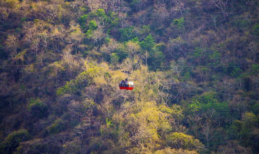Distant view of overhead cable car against forest