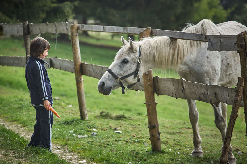 Side view of boy looking at horse