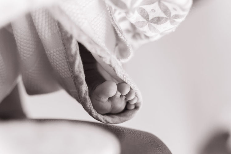 Close-up of baby feet in blanket 
