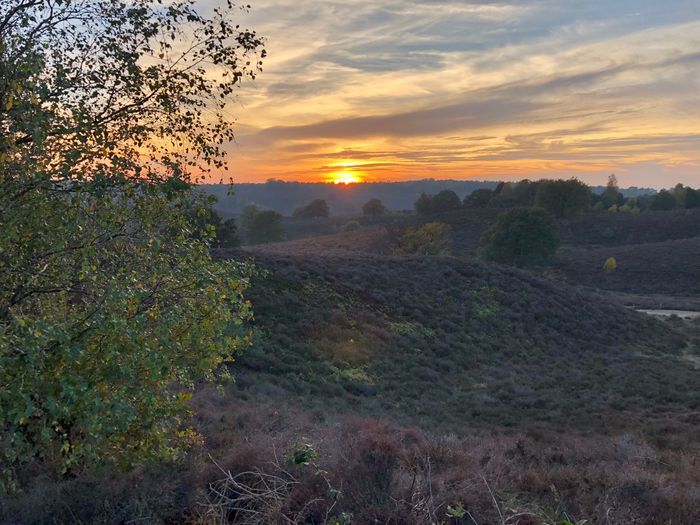 Scenic view of landscape against sky during sunset